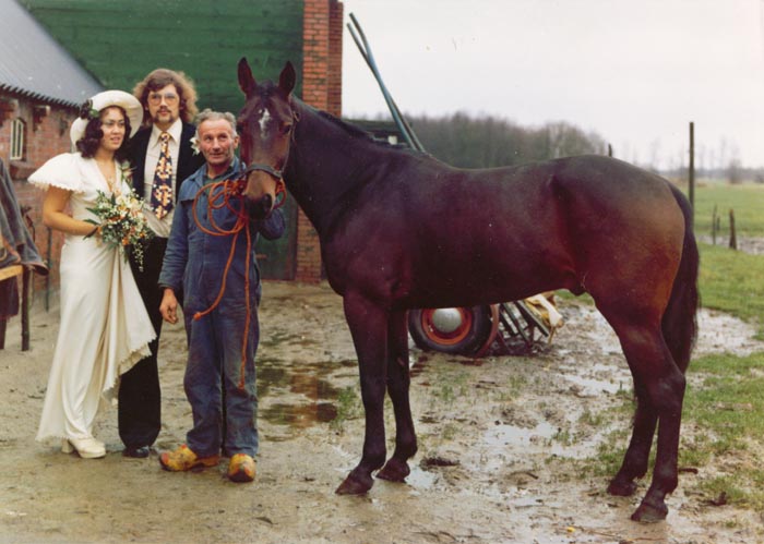 Mistral met bruidspaar.jpg
