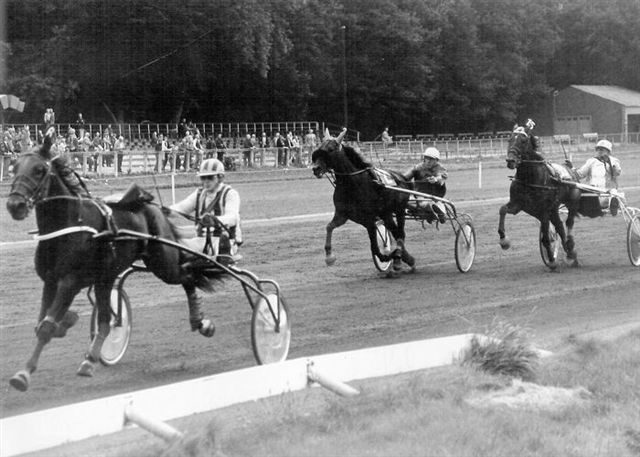 Sef Hazelaar Jonker.jpg