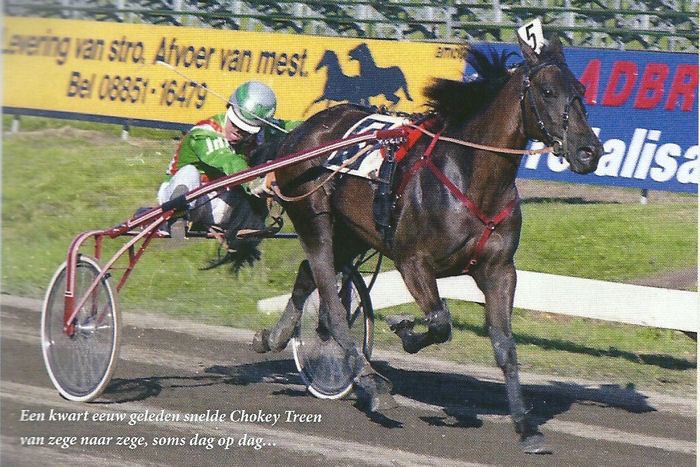 Chokey Treen wint in 1990.jpg