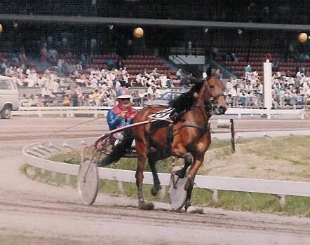 Channa Hanover 01.jpg