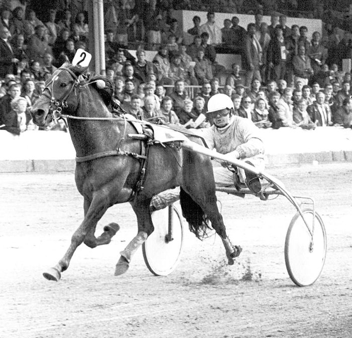 Wish of Thijssen 4-4-1988.jpg