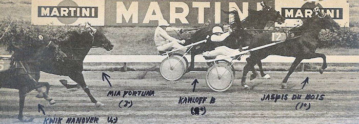 Jaspis du Bois Amateur Kamp 77.jpg