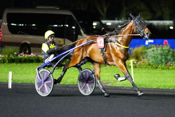 MD_00237662-005-scoopdyga_KIWI_DE_TREMONT.jpg