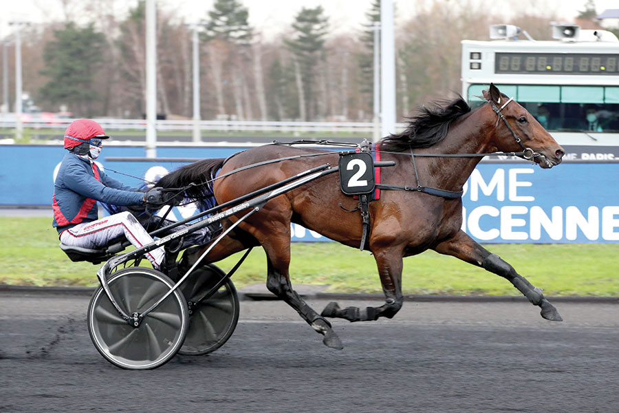 1GANAY-DE-BANVILLE (3).jpg