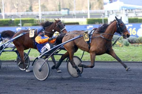 MD_00202637-029-scoopdyga_EMERAUDE_DE_BAIS (2).jpg