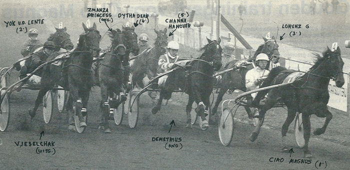 Ciao Magnus GPaard 93.jpg