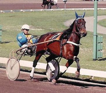 Wez Warber 01.jpg