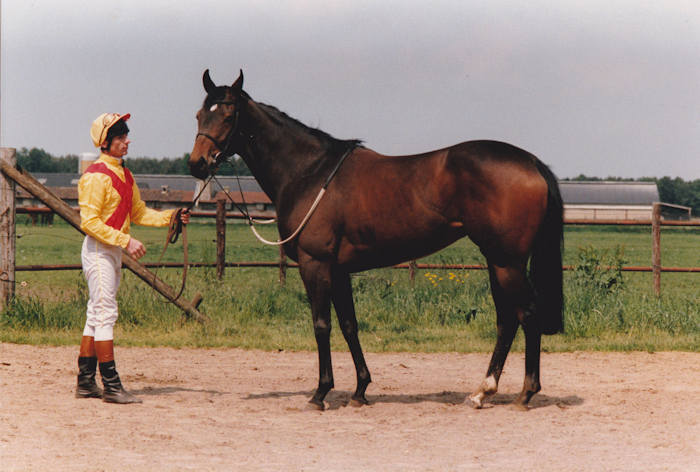 Oryx of Troy Staatsie 1988.jpg