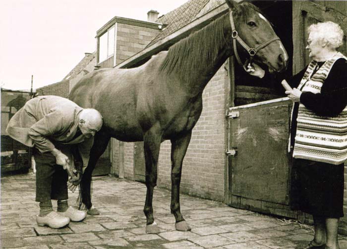 Poel Bernhard van de beslaat.jpg