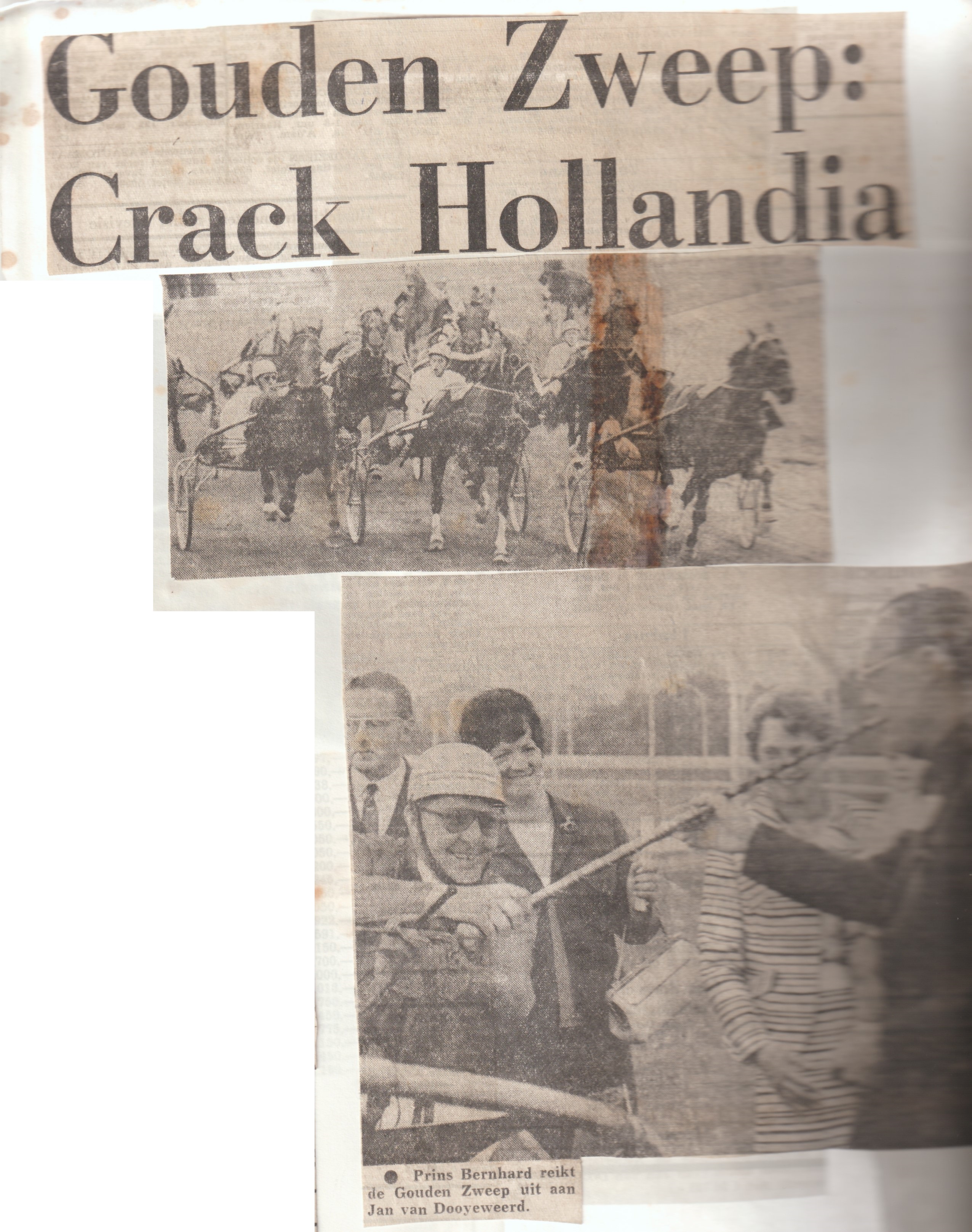 Crack Hollandia  Gouden Zweep.jpg