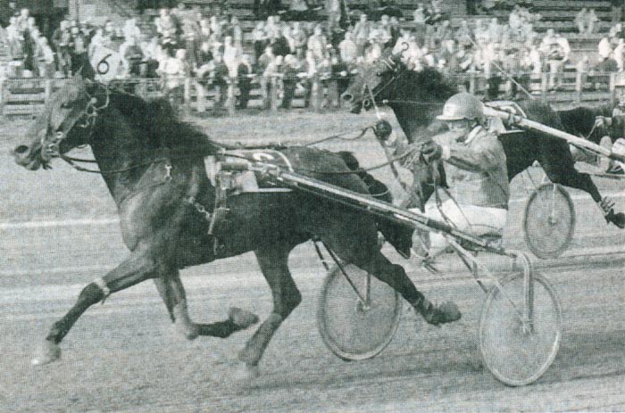 Channa Hanover (1).jpg