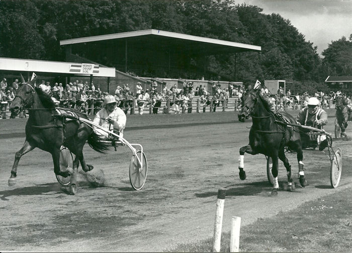 Zie Die Detvile 22-7-84.jpg
