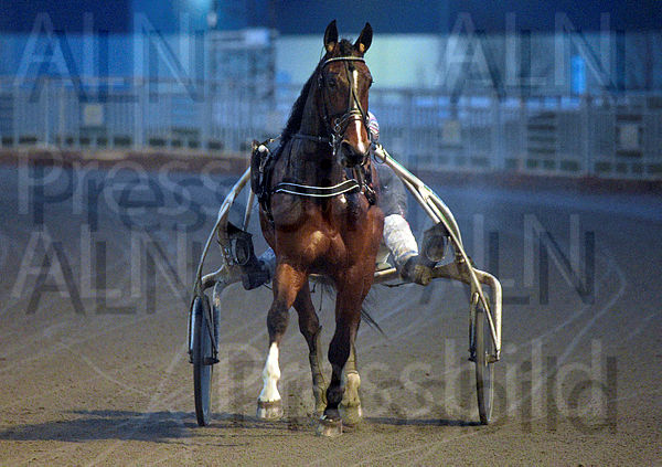 Great Time Trot def.t65da15f8.m600.w.4salnwmark2.png.xuQCUSV6p.jpg
