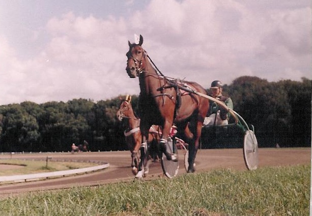 Brenda Ludwig 01.jpg