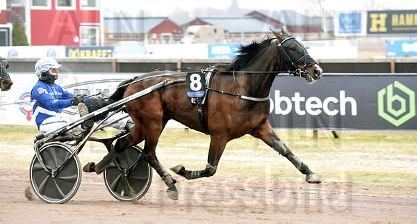 Bicc´s Tobee mål.t65ec79f5.m600.w.4salnwmark2.png.xjDIZEYbI.jpg