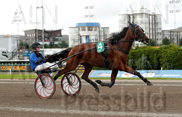 Ziva heat 1.t65b12fe2.m600.w.4salnwmark2.png.xtnnIGpwO.jpg