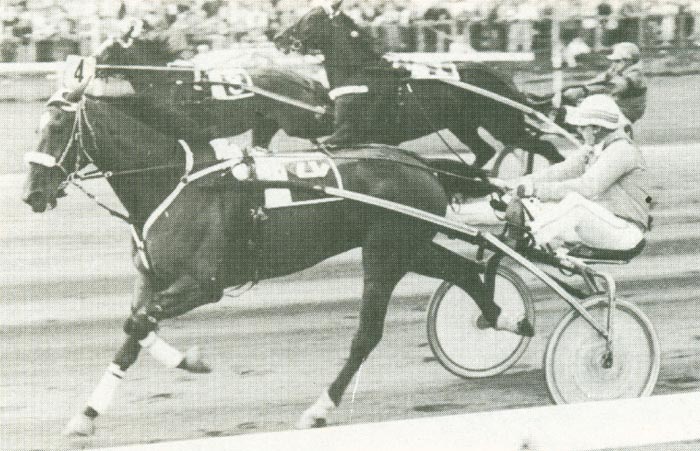 Veric Brach 86.jpg