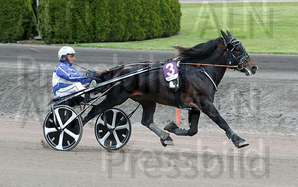 Alsaker Pumbaa heat 2.t630238e5.m600.w.4salnwmark2.png.xx2t0g75Y.jpg