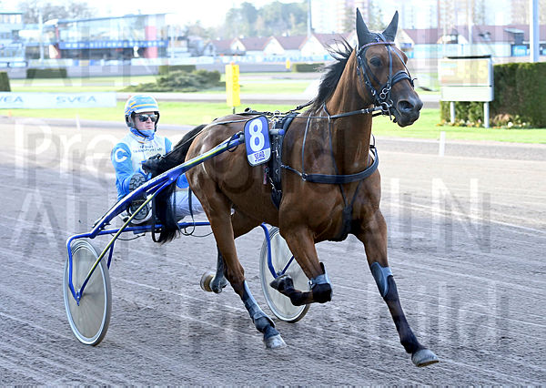 New Frisiana heat.t64524ee3.m600.w.4salnwmark2.png.xPVkXu6LQ.jpg