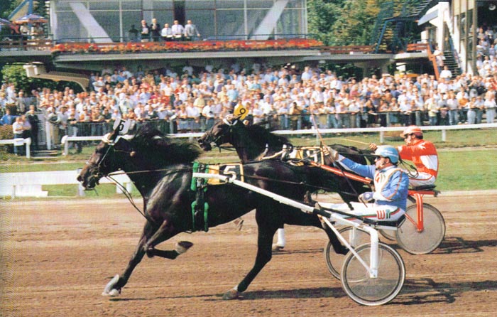 Carisma KvN finish 90.jpg