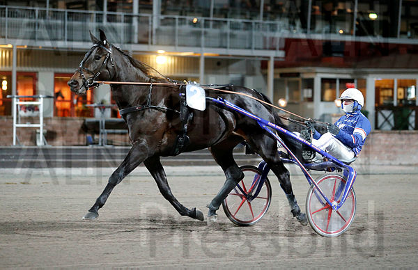 Sara J.E. heat 2.t6571e294.m600.w.4salnwmark2.png.x7BoQBt2m.jpg