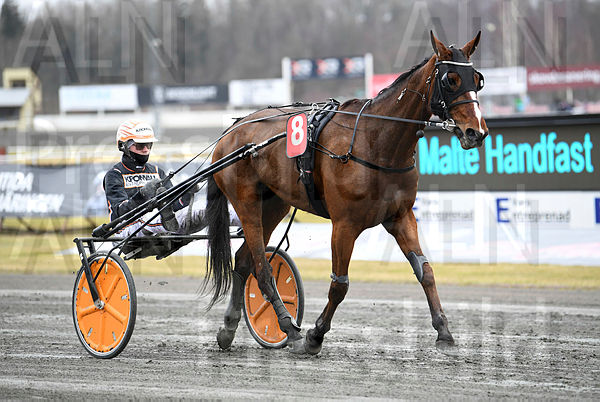 Marla Boko segerdef 399 (2).t65fc18e2.m600.w.4salnwmark2.png.xabb10YCb.jpg