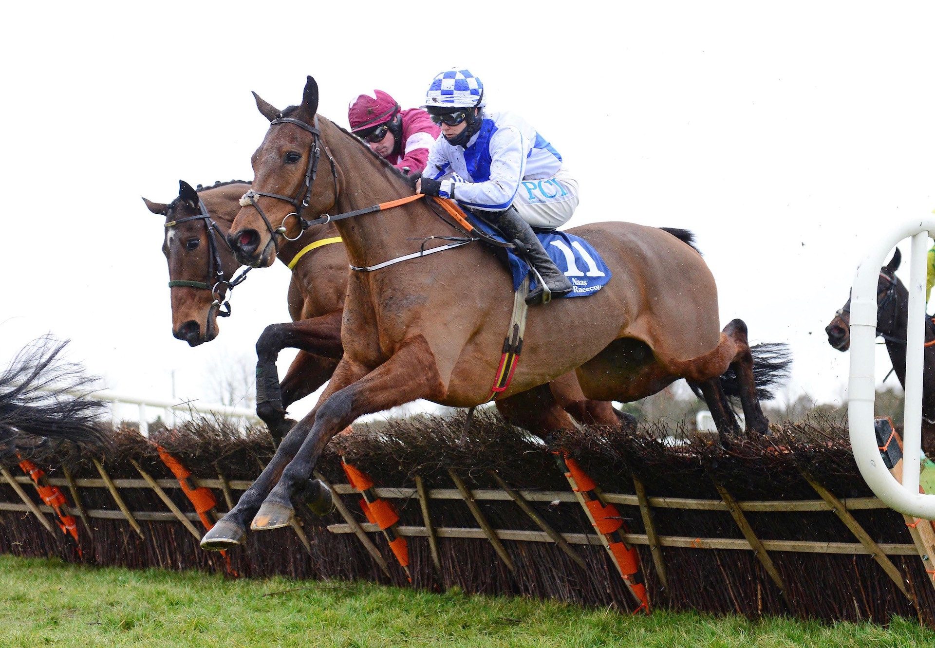 Mr-Incredible-wins-the-maiden-hurdle-at-Naas-1.jpg