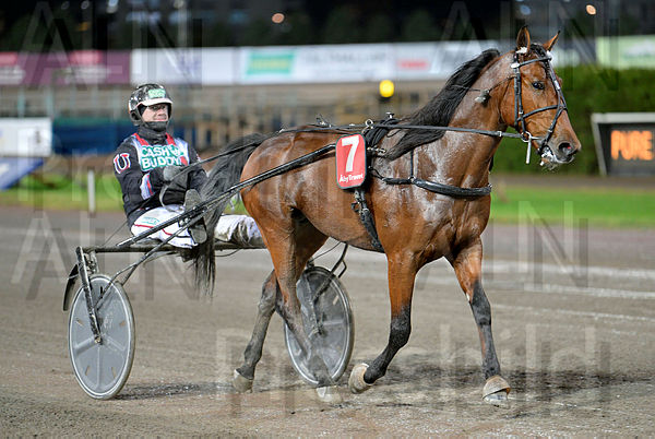 Pure Joy def 1.t6543dc86.m600.w.4salnwmark2.png.xzLQlgb32.jpg