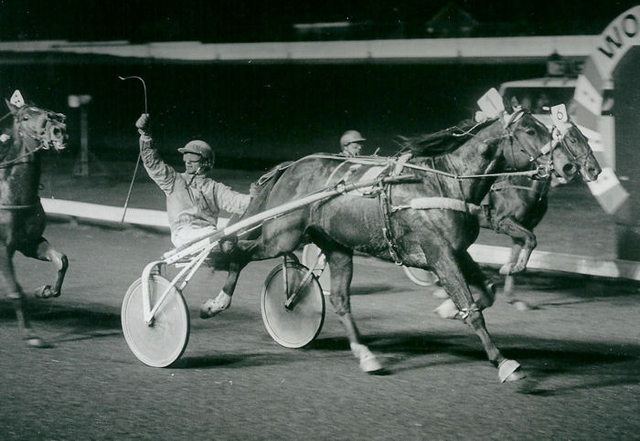 Zelfbewust GP Friesl 90.jpg