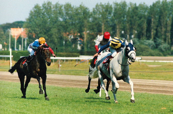 Moonbat 12-8-90.jpg
