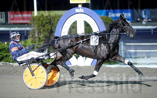 Major Ass heat 1.t65b4dbf9.m600.w.4salnwmark2.png.xiJzKnv4F (1).jpg