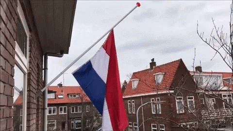 HarlemFlagGIF.gif