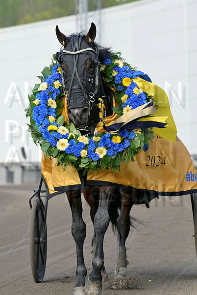 Baron Tilly krans 4.t66369532.m600.w.4salnwmark2.png.xPYmIW3TZ.jpg