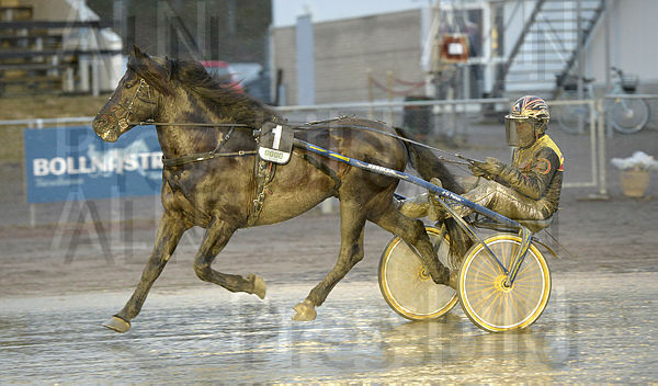 B.W.Sture heat.t662e29be.m600.w.4salnwmark2.png.x-UX81Mg4.jpg