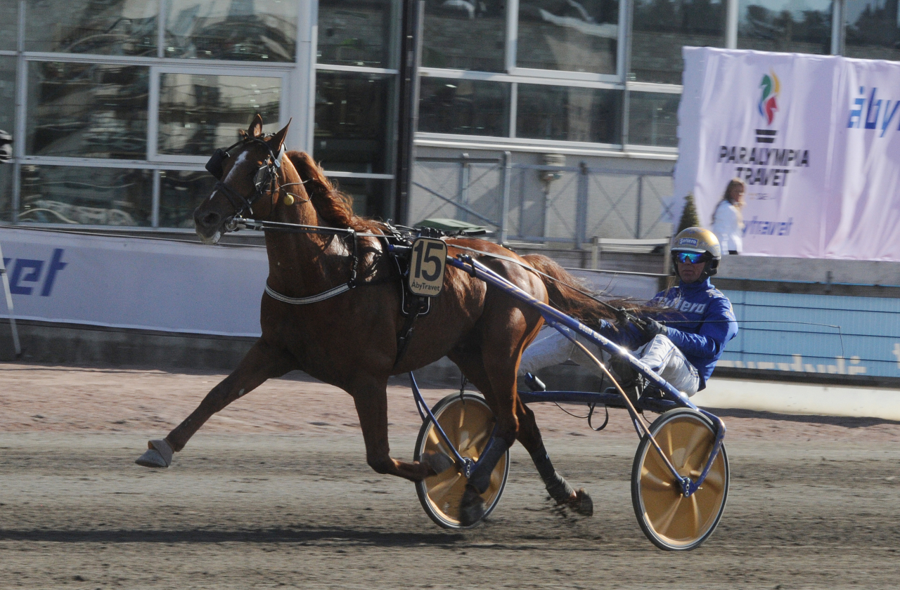 monivikingbgm200425adamstromstalltz-scaledartikelbild-1280.jpg