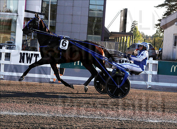 King Of Greenwood heat.t66427b27.m600.w.4salnwmark2.png.xLLMwwO3N.jpg