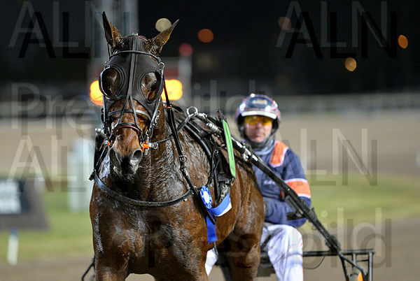 Jo Black def 1.t65bc02d7.m600.w.4salnwmark2.png.xPtDSTZVY.jpg