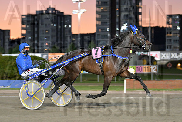 Marinho Boko heat (2).t6443a4eb.m600.w.4salnwmark2.png.xW9Vd9xYE.jpg