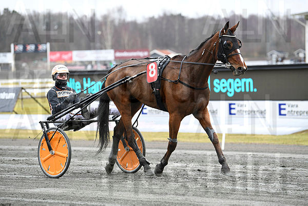 Marla Boko segerdef 399 (1).t65fc18d9.m600.w.4salnwmark2.png.x4Xj9jIey.jpg