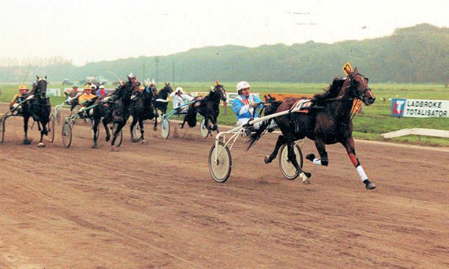 Cortoz Crown Derby Rev 88.jpg