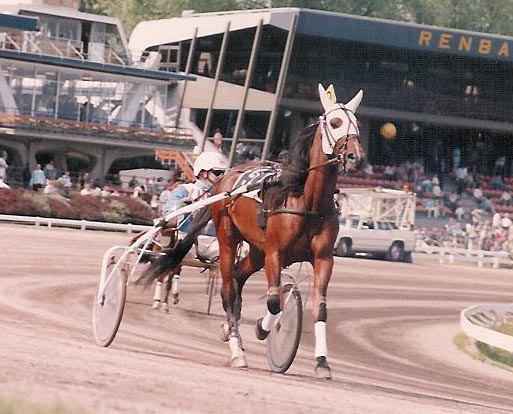Cortoz Crown 01.jpg