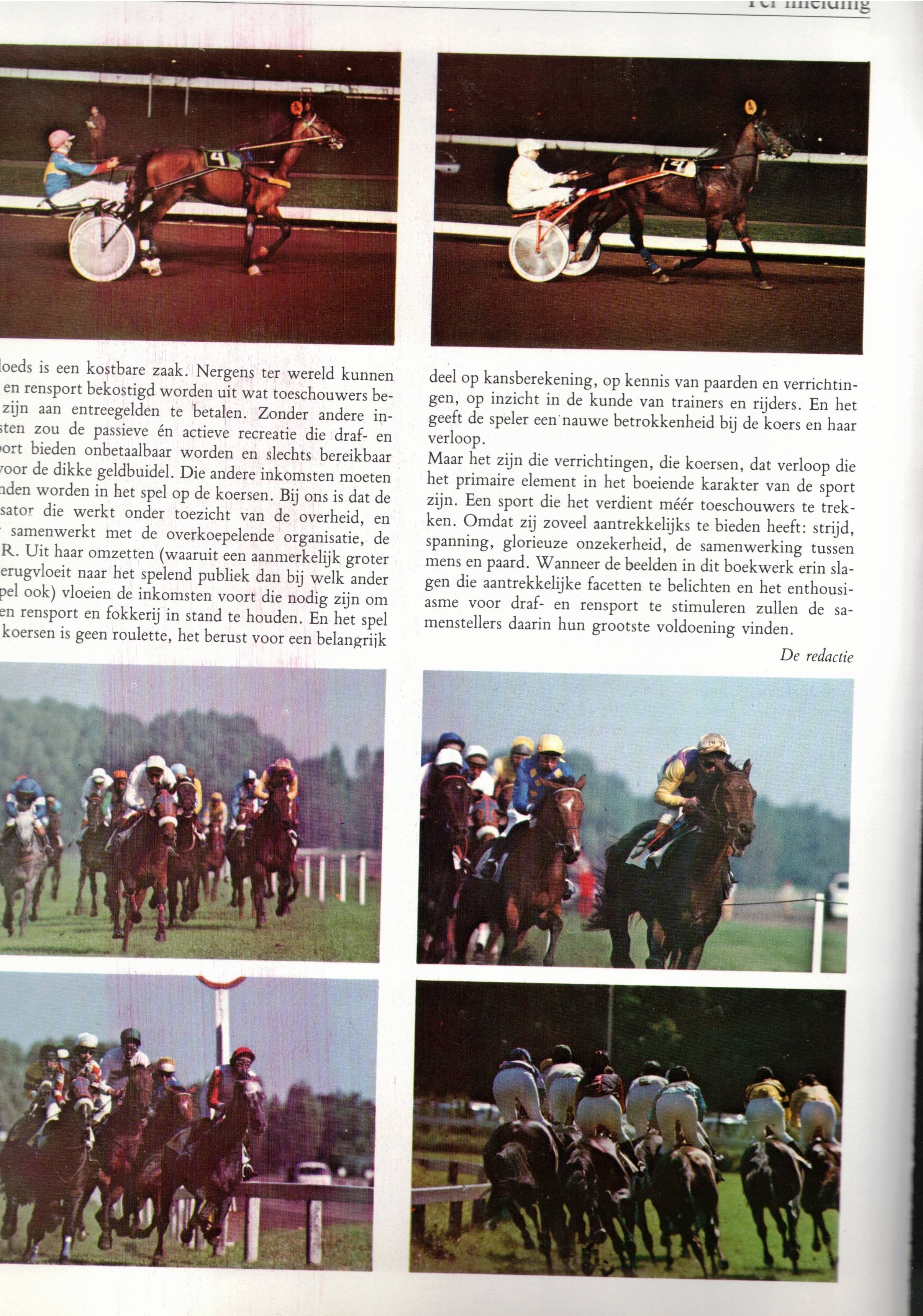 Scan2024-10-19_150617.jpg