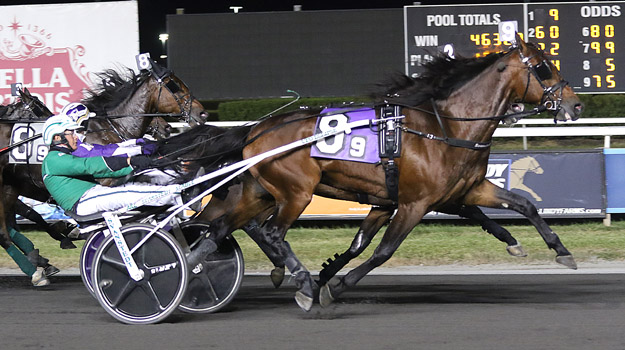 wb101924r9-Daiquiri-Hanover.jpg