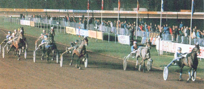 Action fin Fin Giganten 90.jpg