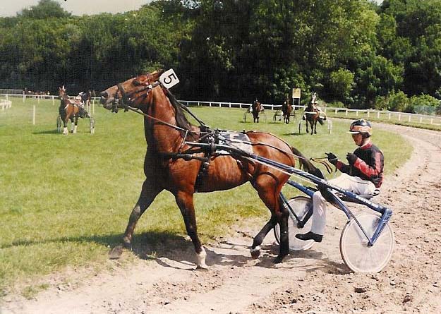 Eibert Vryenesse 01.jpg