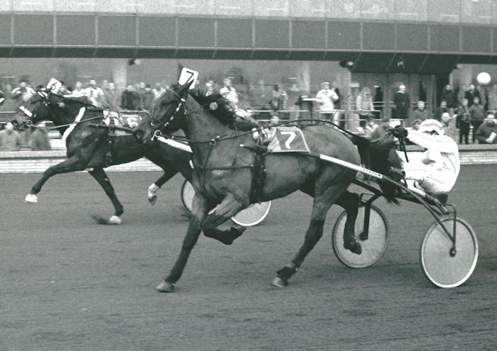 GPaard 1991 ZmP.jpg