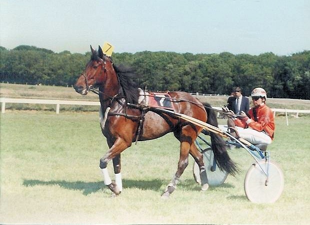 Zmanza Princess 01.jpg