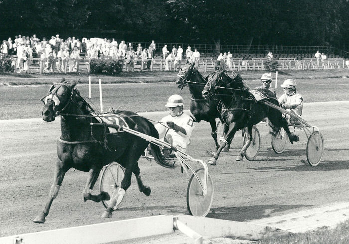 Zanja 12-6-1988.jpg