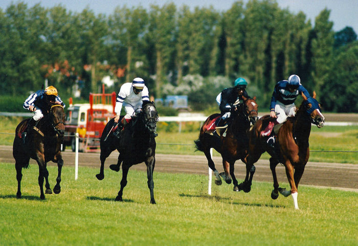 Stanhope Wass Pauw 91.jpg