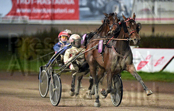 Nikita R. mål.t67081ace.m600.w.4salnwmark2.png.xnaNczItL.jpg